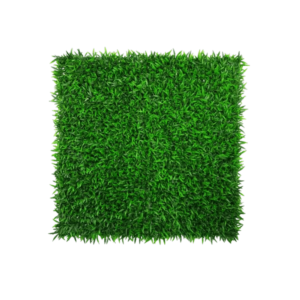 Artificial Grass
